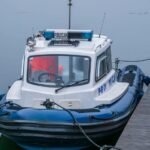 analytical entry assimilation brief