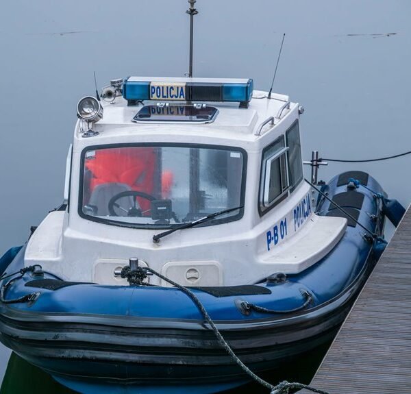 analytical entry assimilation brief