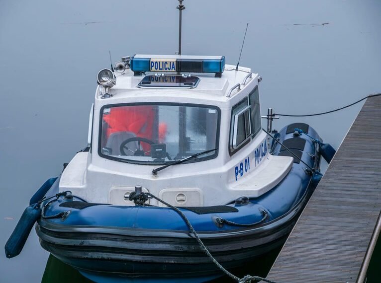 analytical entry assimilation brief