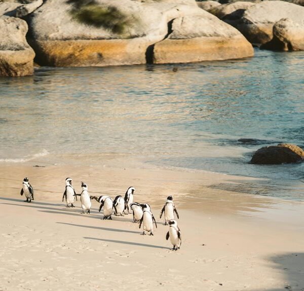 cluster behavior analysis metrics