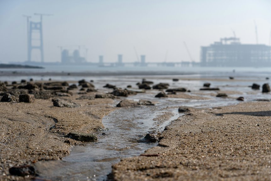 cohort expansion tracking log