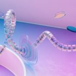 continuity control structuring dossier