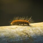 enterprise trend data analysis