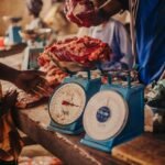 market momentum calibration log