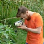 sector growth data analysis