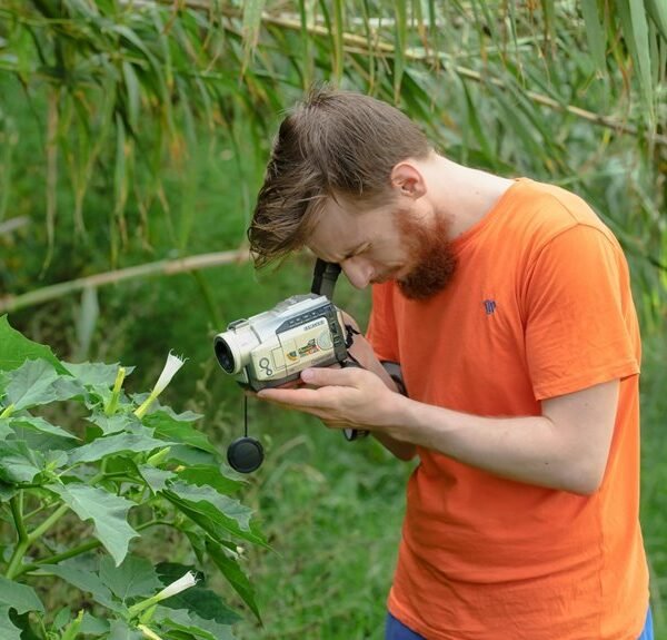 sector growth data analysis