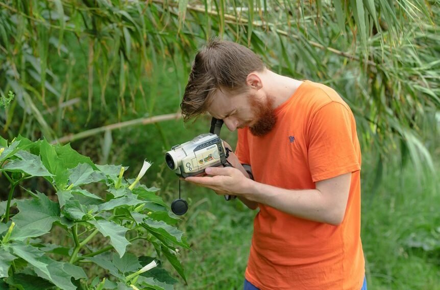 sector growth data analysis